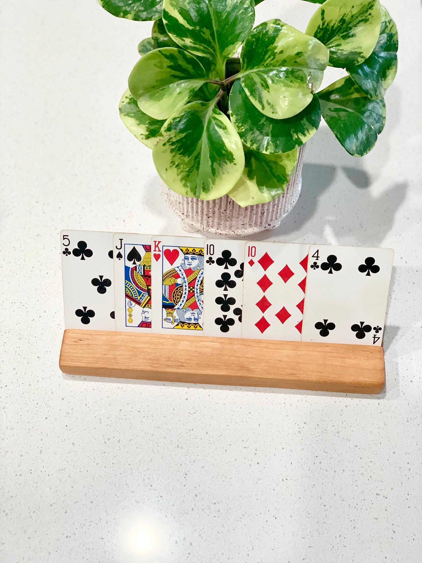 Extra Long Flash Card / Playing Card Holder