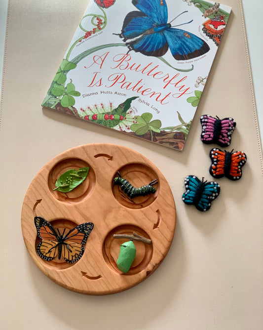 Life Cycle Sensory Trays 4 or 5 Part