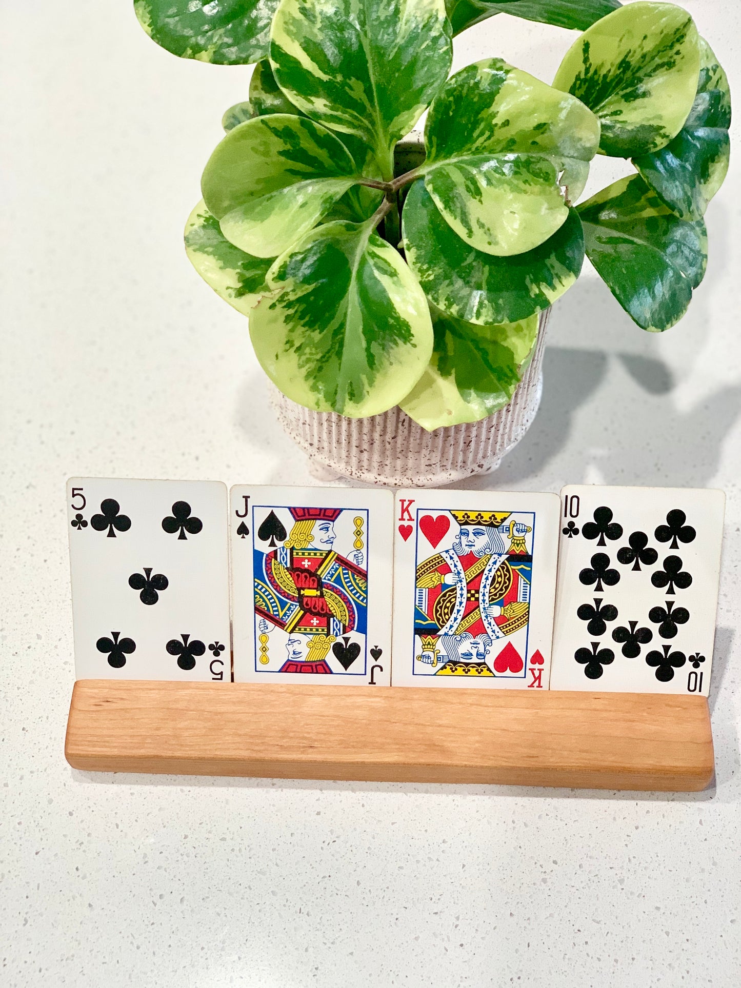 Extra Long Flash Card / Playing Card Holder