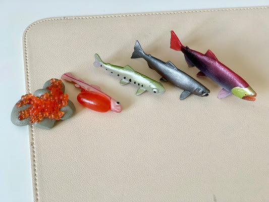 Salmon Life Cycle Figurines