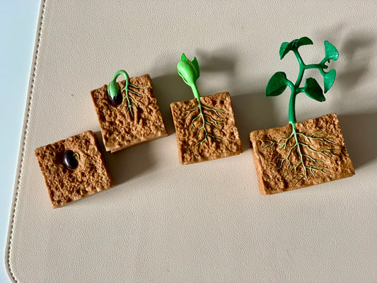 Plant Life Cycle Figurines