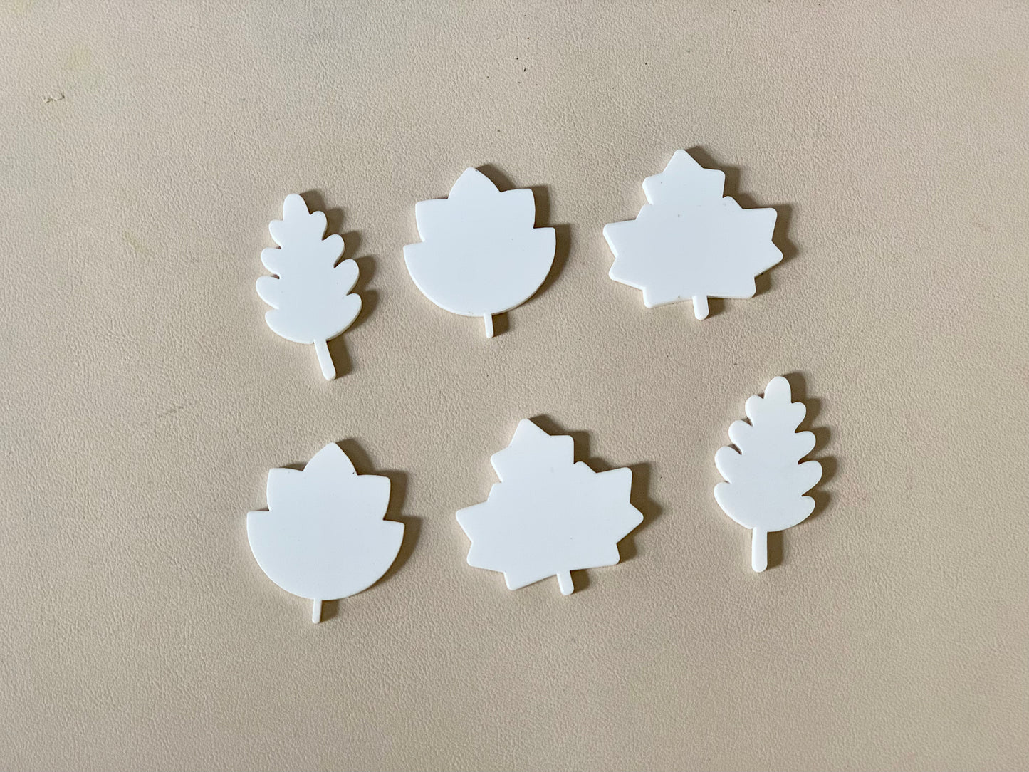 Little Dry Erasables - Leaves - Set of 6 - more colours available