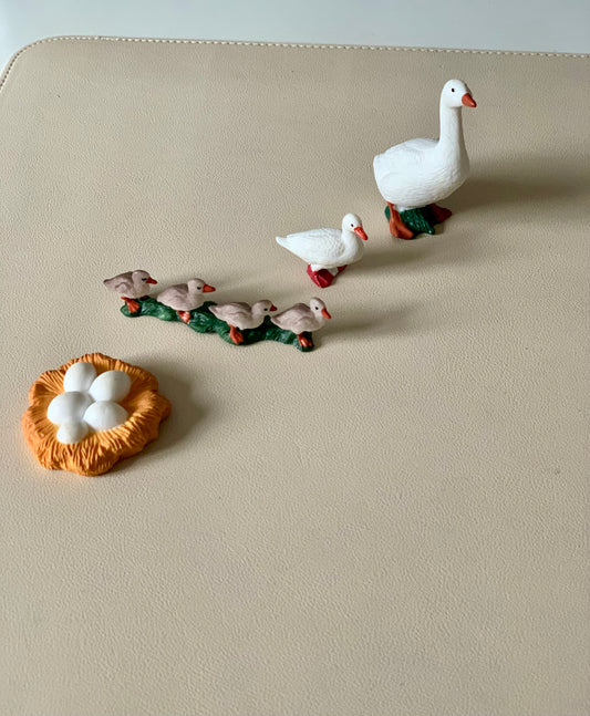 Duck Life Cycle Figurines
