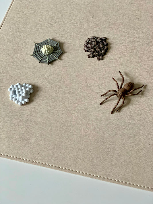 Spider Life Cycle Figurines