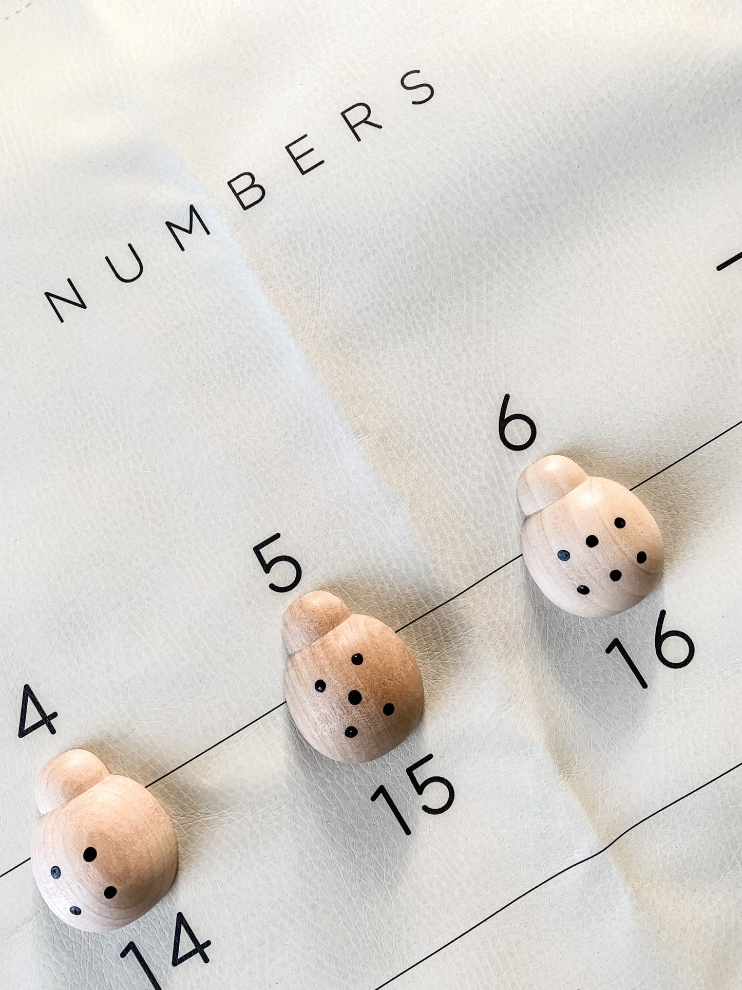 Wooden Counting Ladybugs