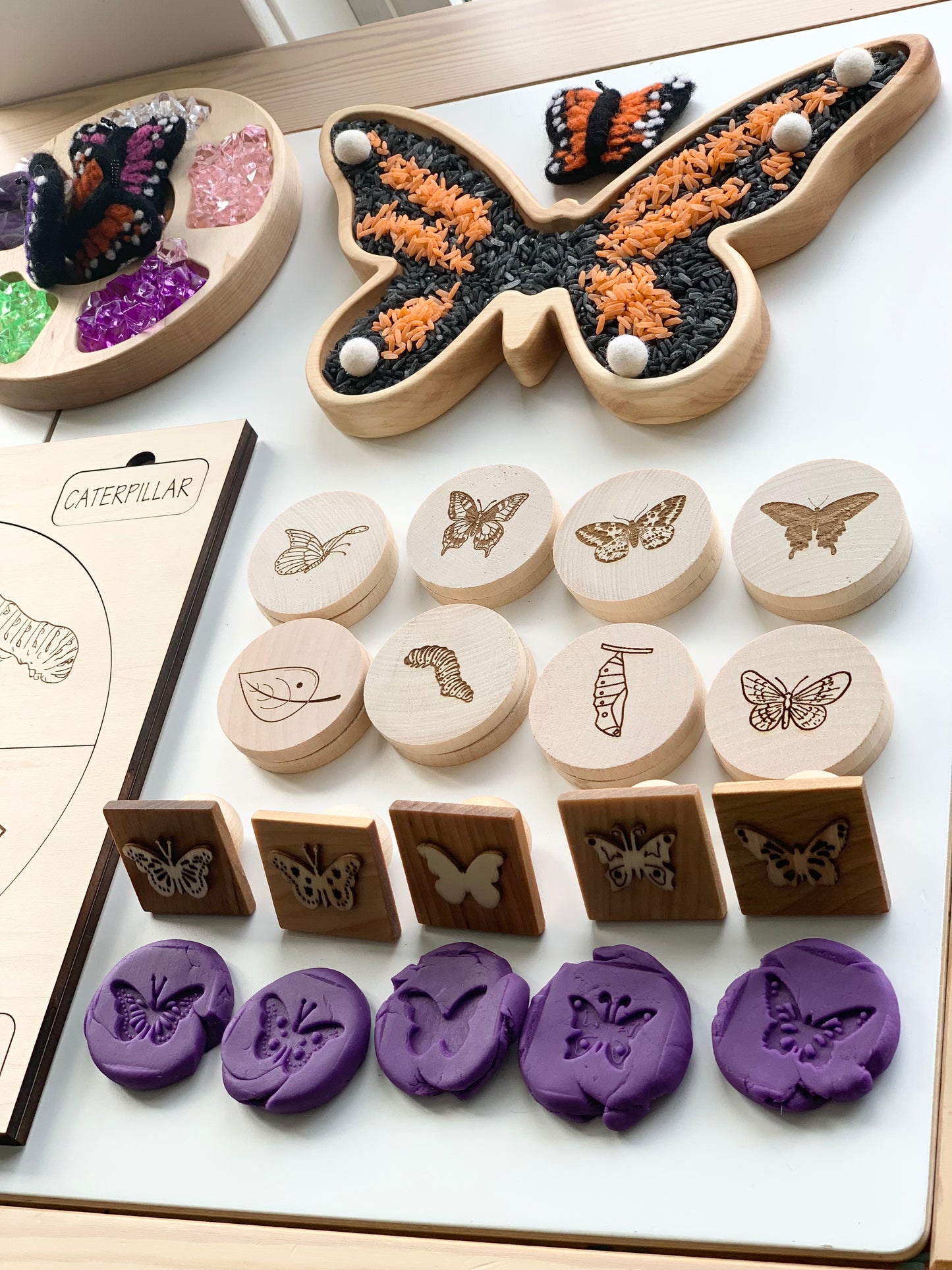 Butterfly Life Cycle Memory Game