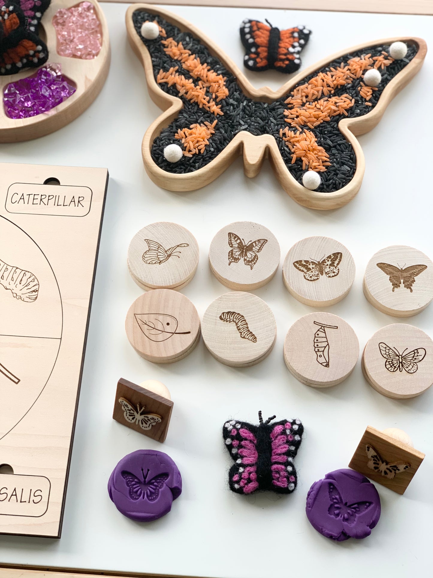 Butterfly Life Cycle Memory Game