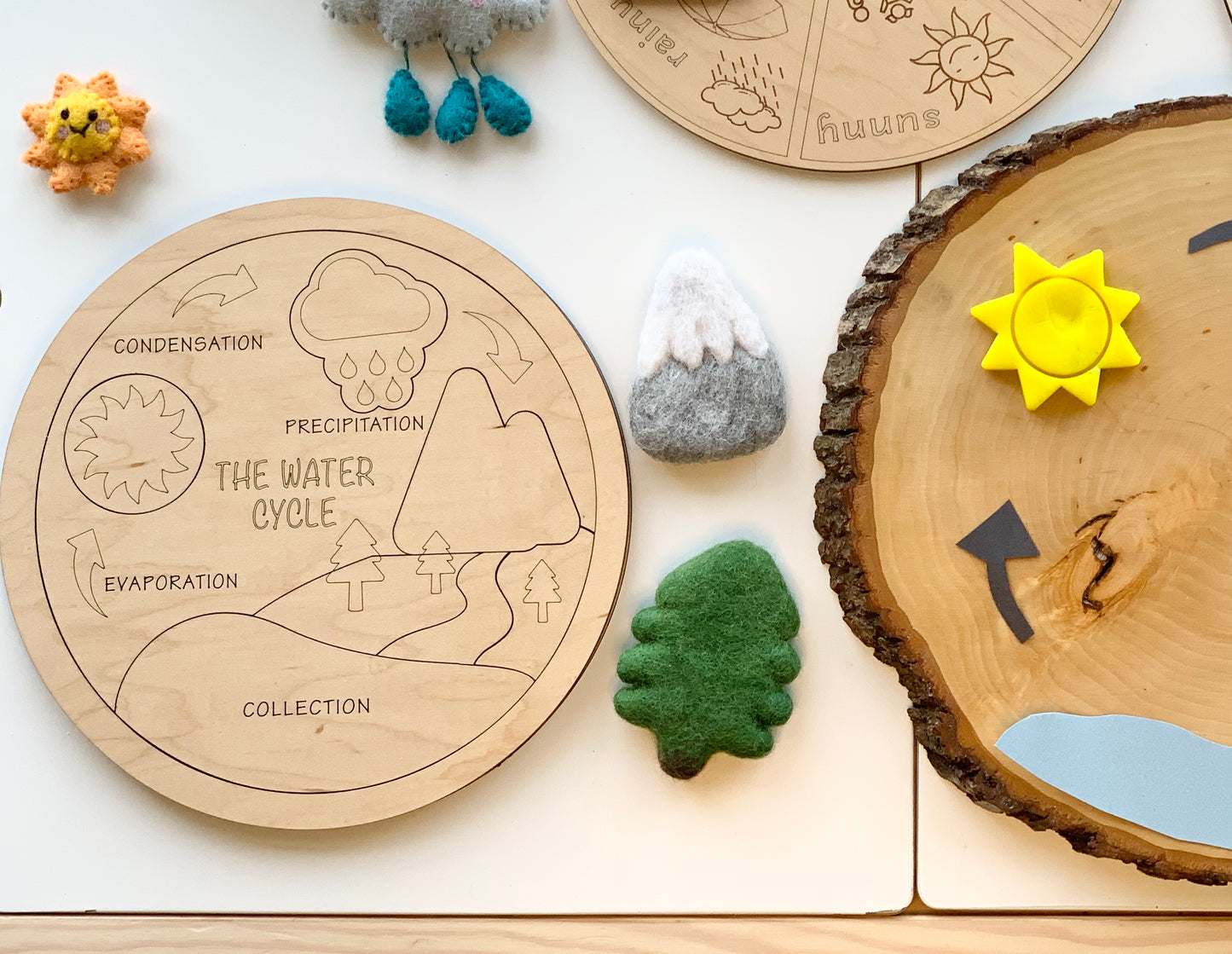 Water Life Cycle Puzzle