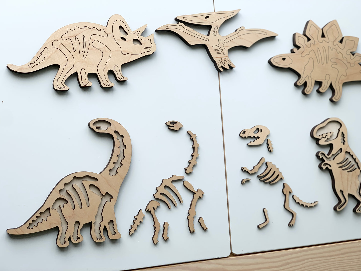 Dinosaur Skeleton/Bones Puzzles