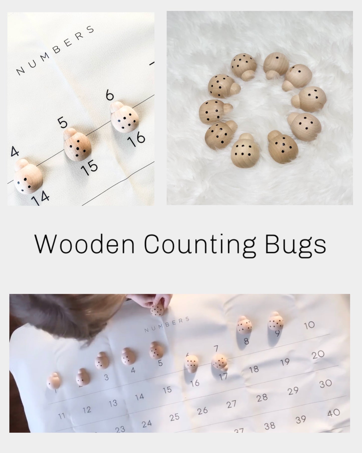 Wooden Counting Ladybugs