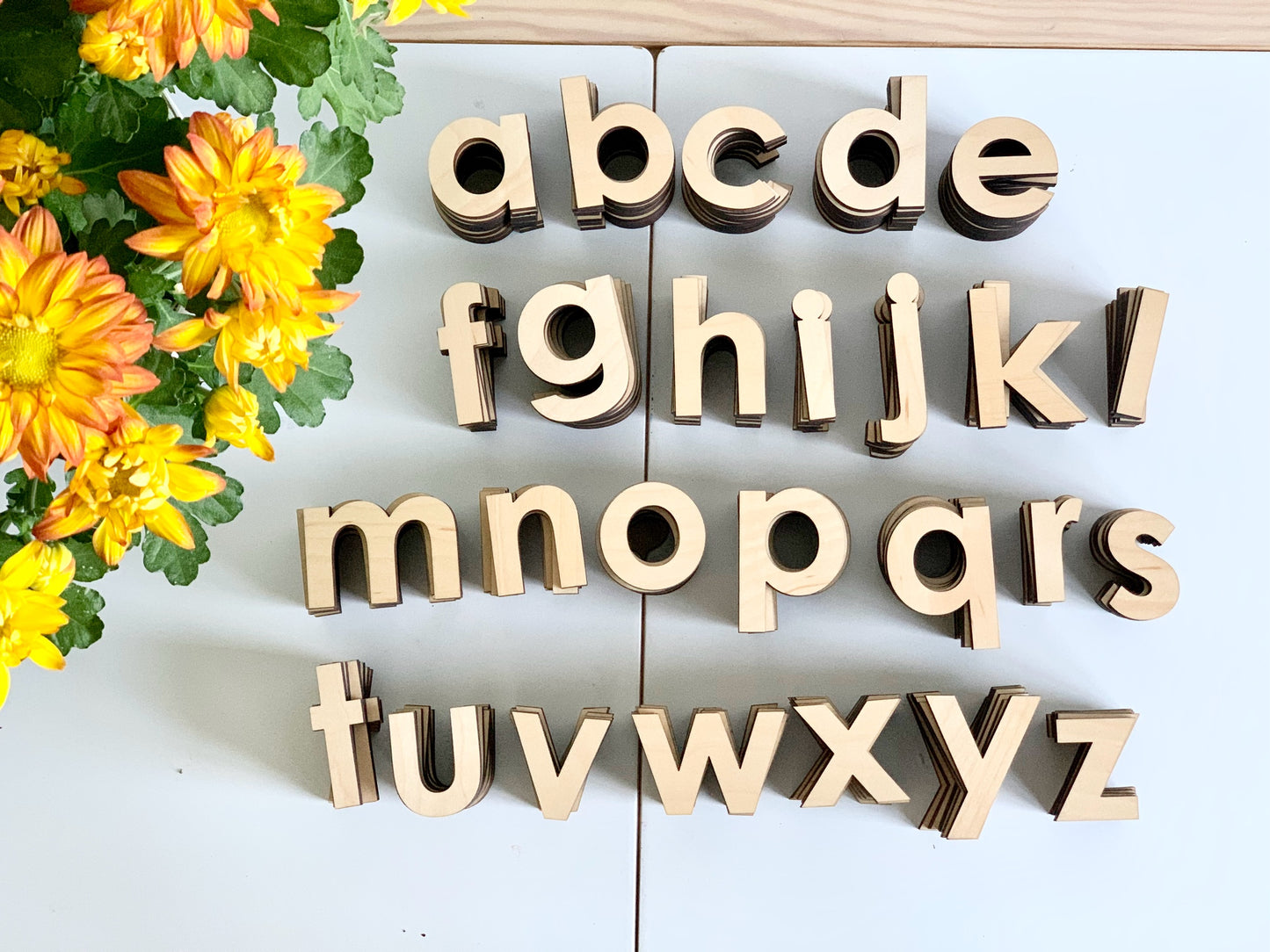 Wooden Lowercase Alphabet Set • Movable Alphabet Set Maple